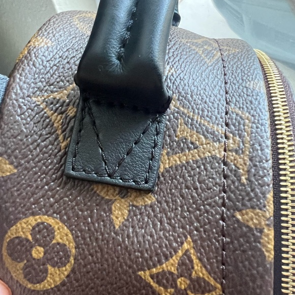 Louis Vuitton Mini Palm Springs Backpack - Picture 9 of 13